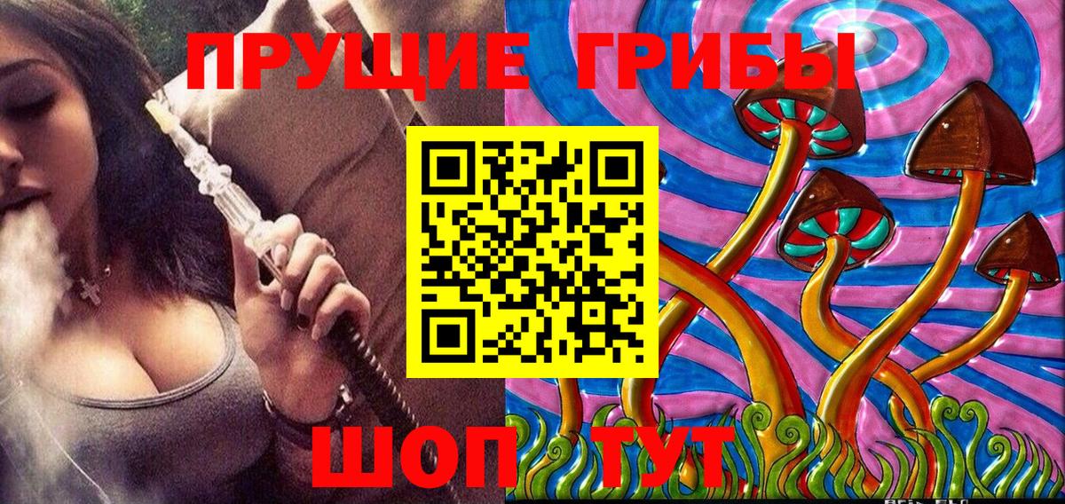 Галлюциногенные грибы Magic Shrooms  Галлюциногенные грибы Psilocybe  Вход с VPN  Вятские Поляны 